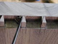 Hand cut dovetails on a serpentine drawer front.JPG