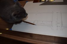 Cat Sketch.JPG